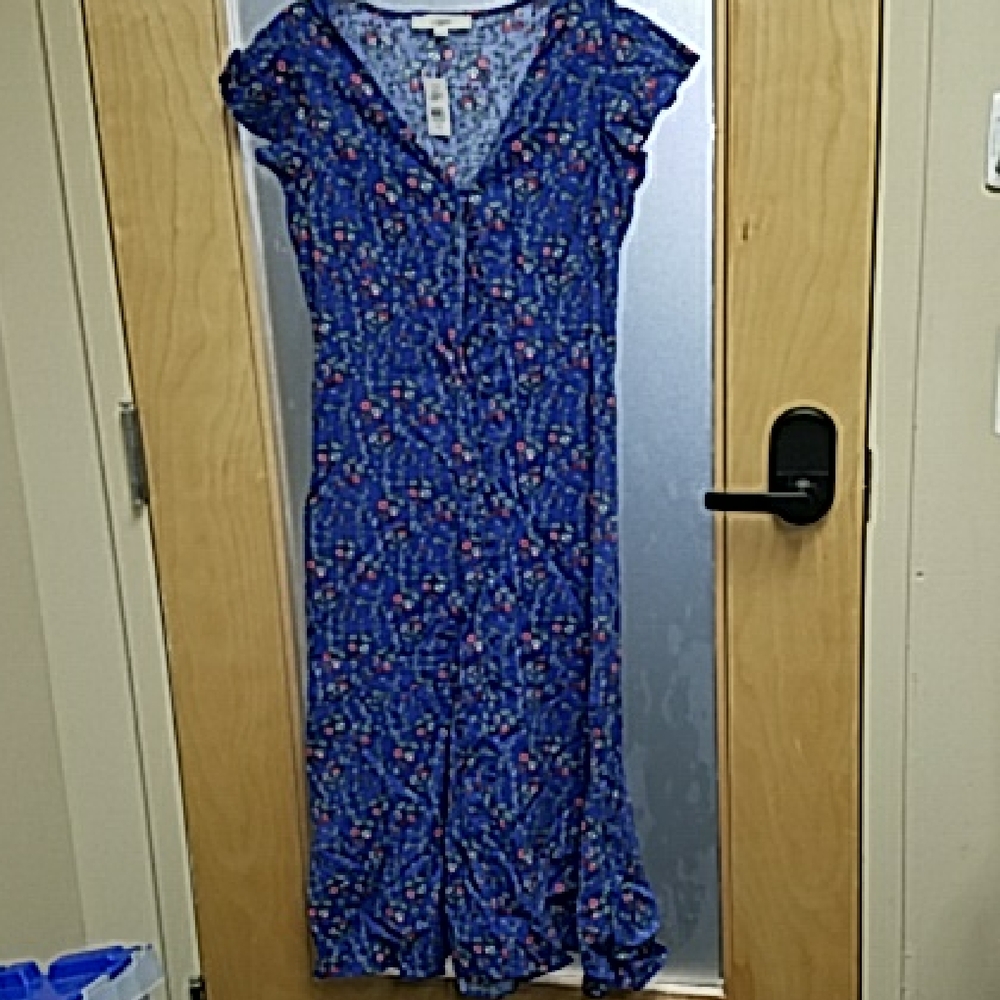 LOFT Blue Floral Maxi Dress